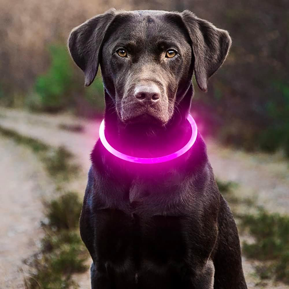 GlowPaw™ LED Dog Collar – USB-Rechargeable, Waterproof, Glow-in-the-Dark Safety Necklace (Pink)