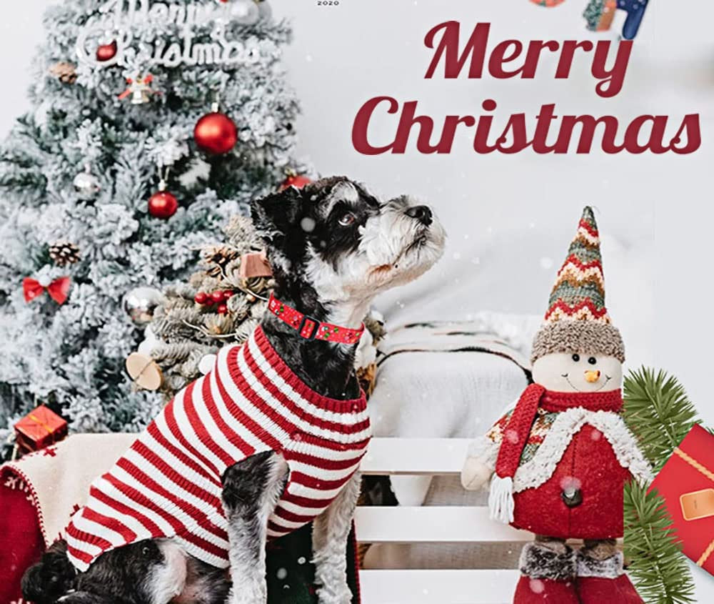 Festive Christmas Dog Collar – Premium Adjustable Holiday Collar for Dogs, Cute Seasonal Pet Collar for Small to Large Breeds