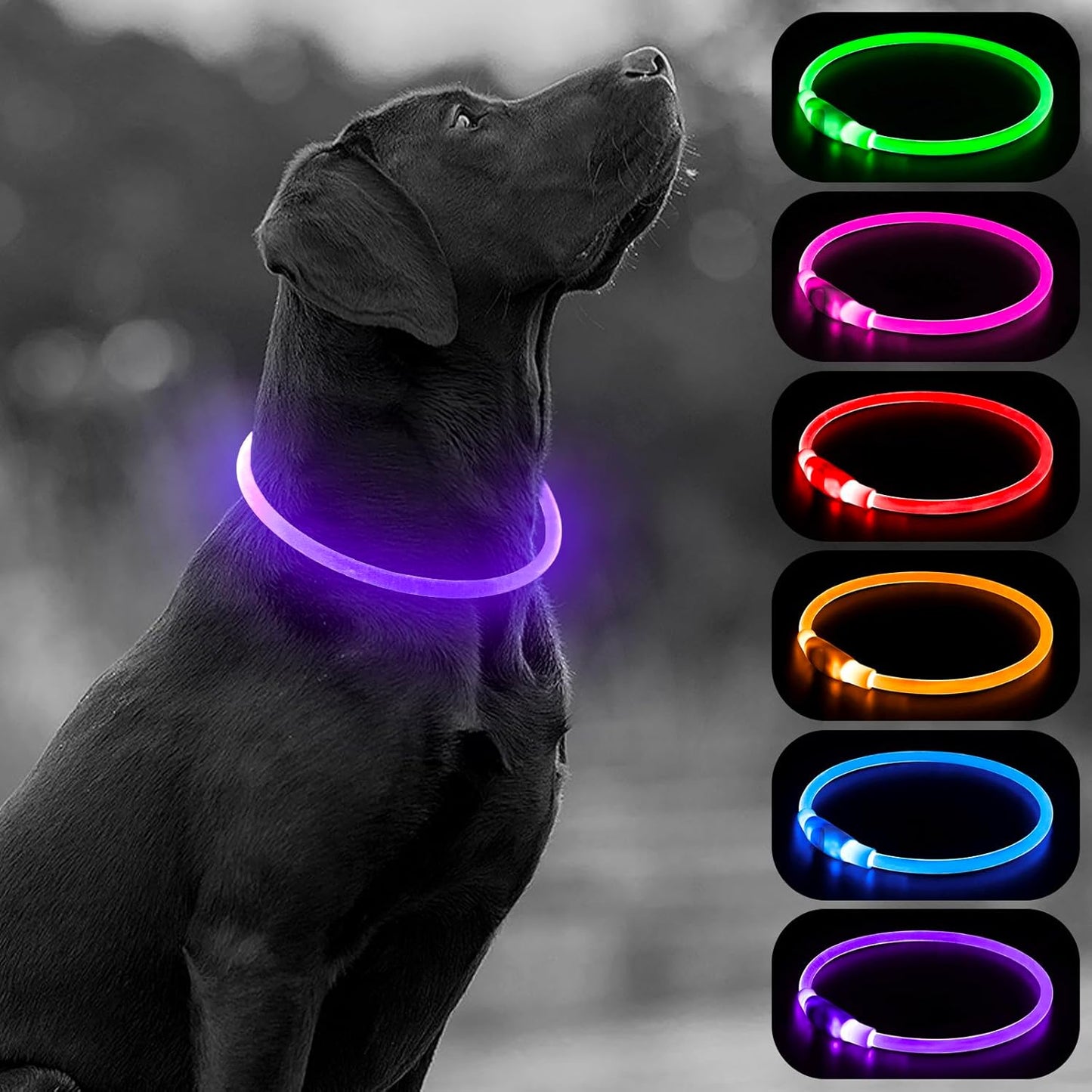 GlowPaw™ LED Dog Collar – USB-Rechargeable, Waterproof, Glow-in-the-Dark Safety Necklace (Pink)