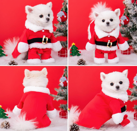 Pet Christmas Costume™ – Funny Dog & Cat Holiday Outfit with Cap, Festive Party Dress-Up (Red, Small)