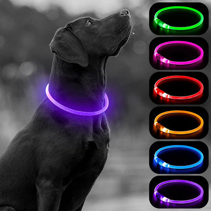 GlowPaw™ LED Dog Collar – USB-Rechargeable, Waterproof, Glow-in-the-Dark Safety Necklace (Pink)