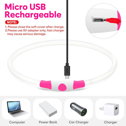 GlowPaw™ LED Dog Collar – USB-Rechargeable, Waterproof, Glow-in-the-Dark Safety Necklace (Pink)