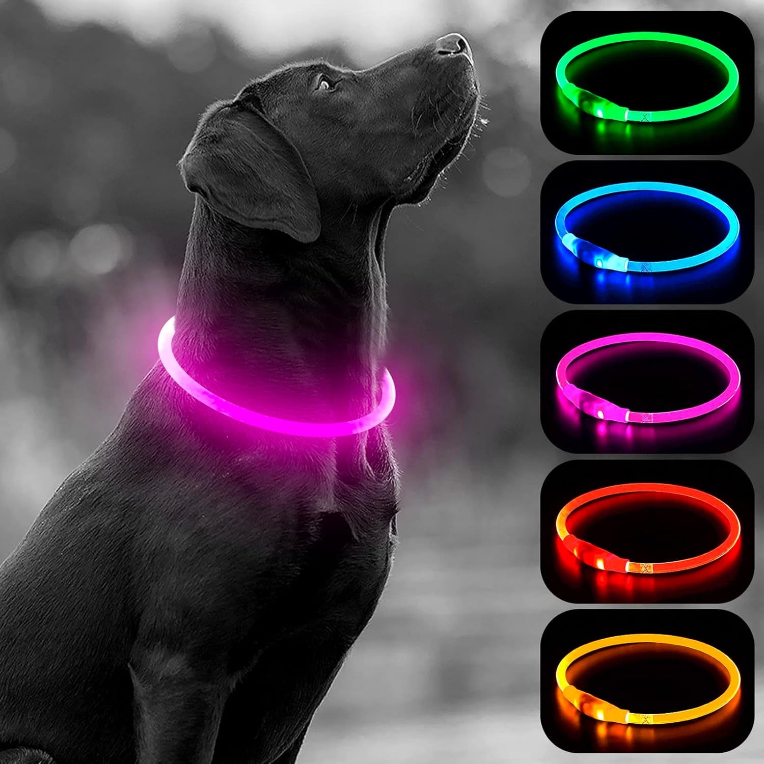 GlowPaw™ LED Dog Collar – USB-Rechargeable, Waterproof, Glow-in-the-Dark Safety Necklace (Pink)