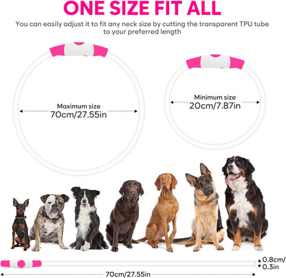 GlowPaw™ LED Dog Collar – USB-Rechargeable, Waterproof, Glow-in-the-Dark Safety Necklace (Pink)