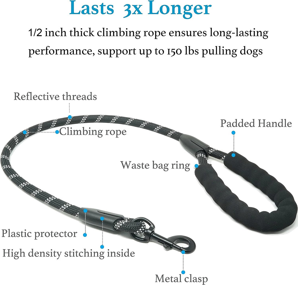 Dual Dog Leash for Large Dogs – No Tangle 360° Swivel Double Leash with Shock Absorbing Bungee, Adjustable Split Lead for Two Dogs (Black, 25–150 lbs)