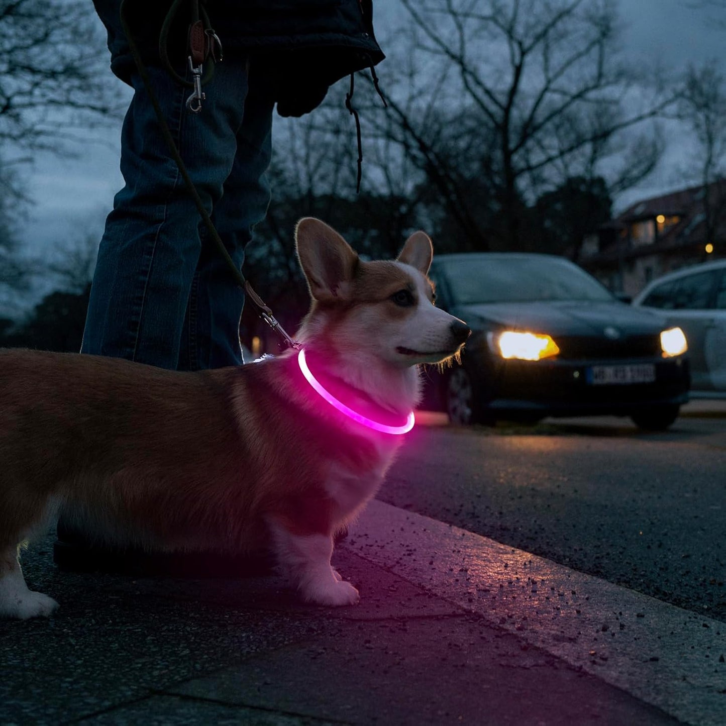 GlowPaw™ LED Dog Collar – USB-Rechargeable, Waterproof, Glow-in-the-Dark Safety Necklace (Pink)